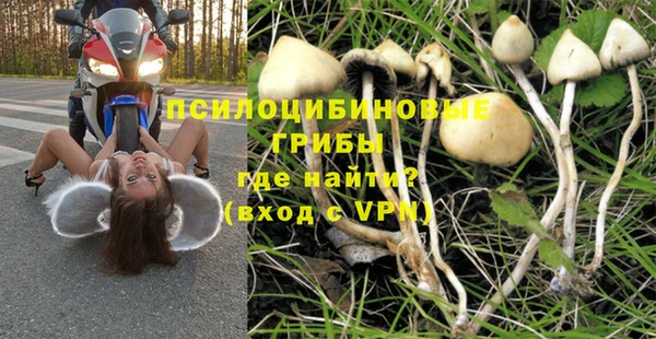амфетамин Бикин